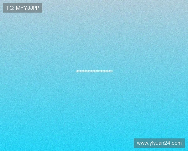 恰尔汗奥卢昨晚抵达伊斯坦布尔 今日将进行重要会晤